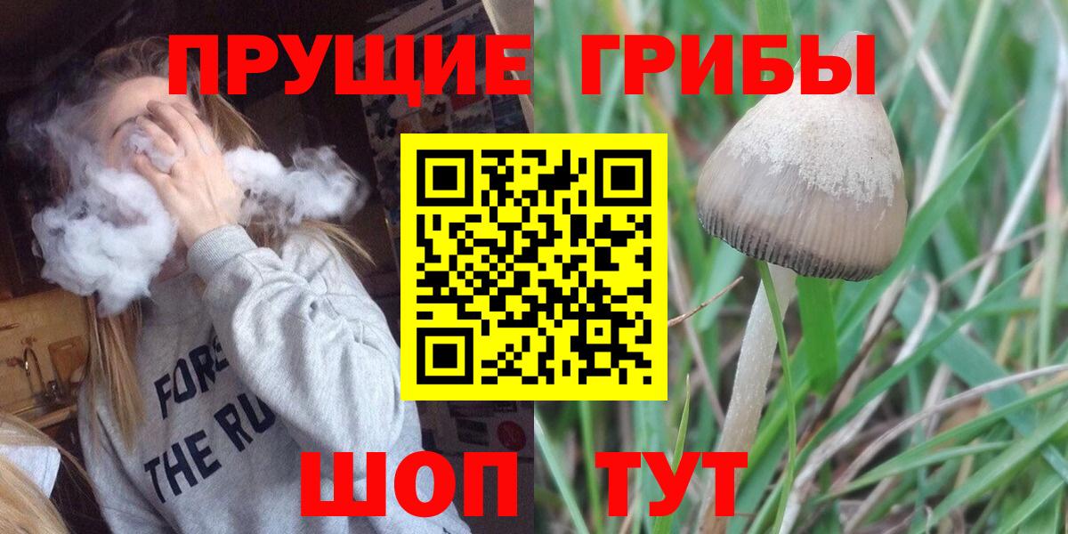Муром  Галлюциногенные грибы мухоморы  наркота  Вход с VPN  Галлюциногенные грибы мухоморы 