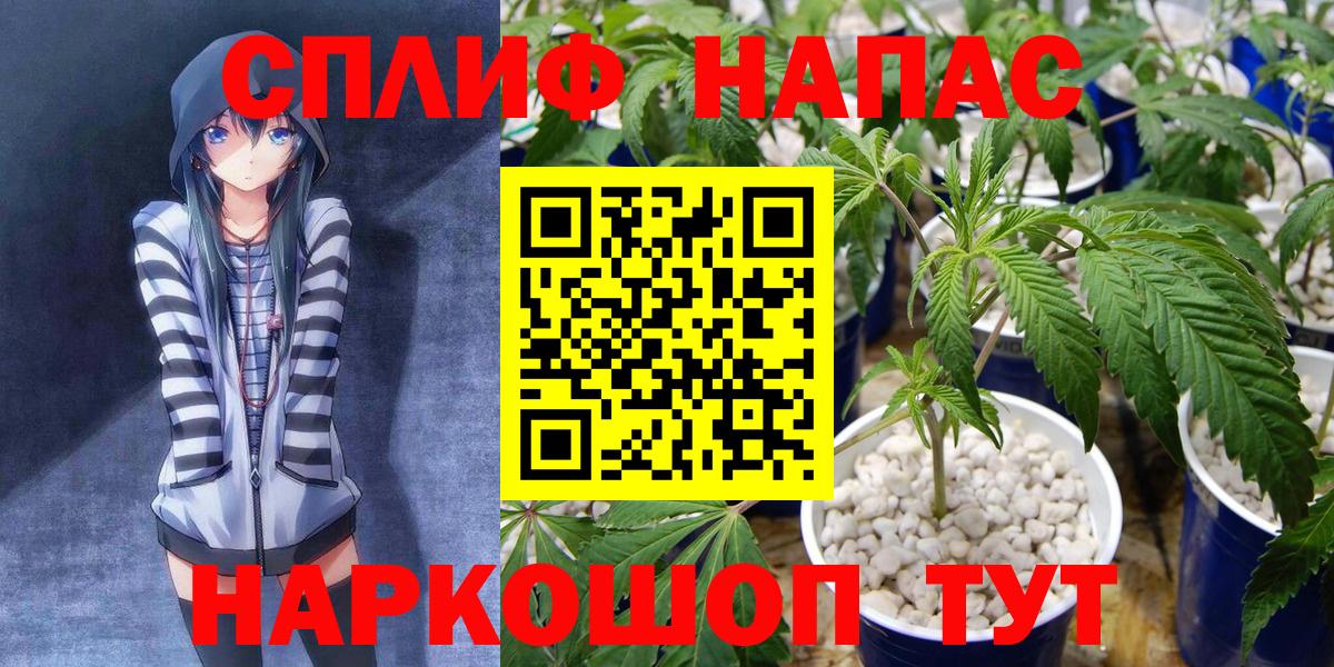 Бошки марихуана ГИДРОПОН  Бошки Шишки марихуана  Муром  Шишки марихуана OG Kush  Вход с VPN 